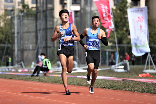 Stake(中国区)官方网站