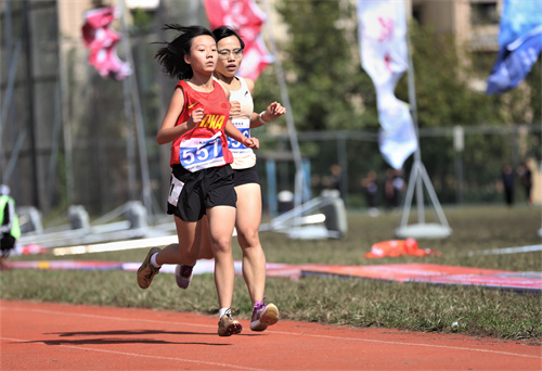 Stake(中国区)官方网站